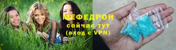 индика Аркадак
