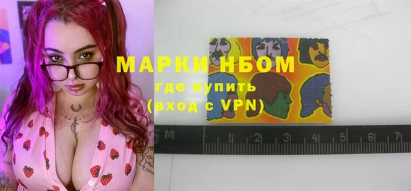 индика Аркадак