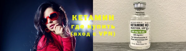 индика Аркадак