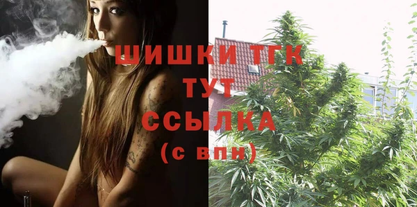 индика Аркадак