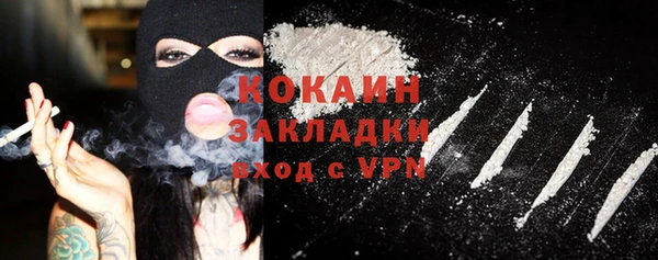 индика Аркадак