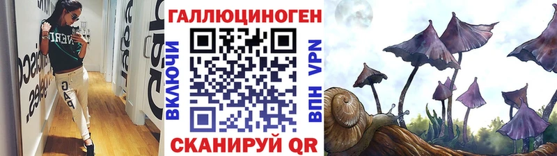 наркошоп Бабушкин Галлюциногенные грибы мицелий